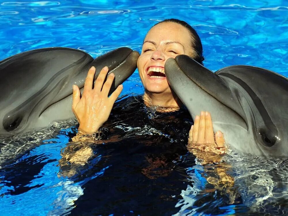 Люди дельфины песня. Дельфин Свимминг Кемер. Человек Дельфин. Дельфины и люди. Плавать с дельфинами.