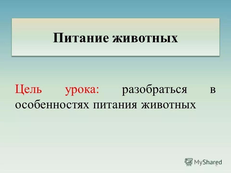 Урок питание животных. Урок питание животных