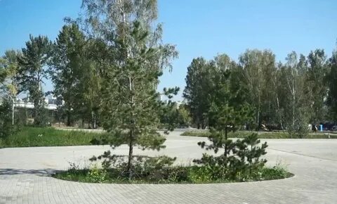 Сдача парков в аренду