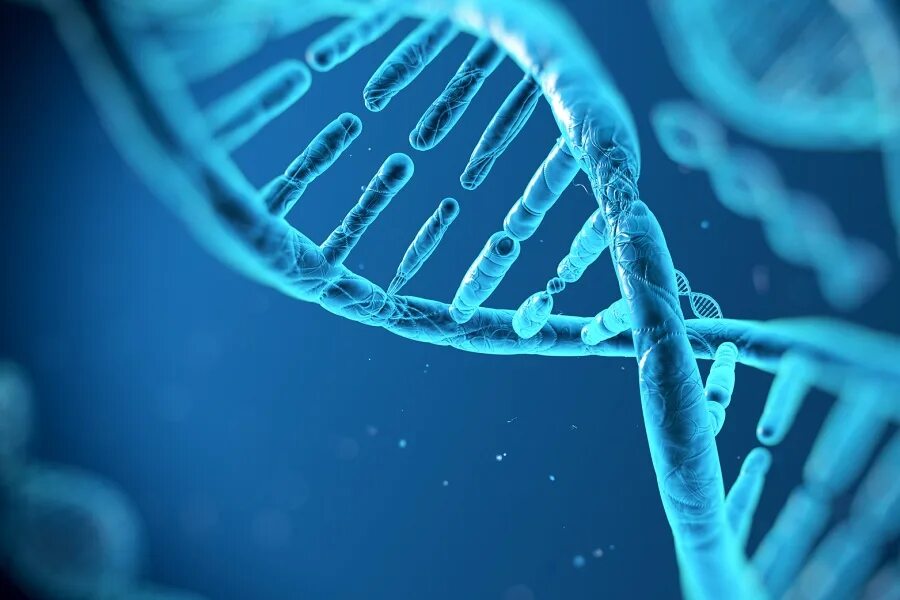 ДНК. Гены. Исследование генома человека. Гены человека.