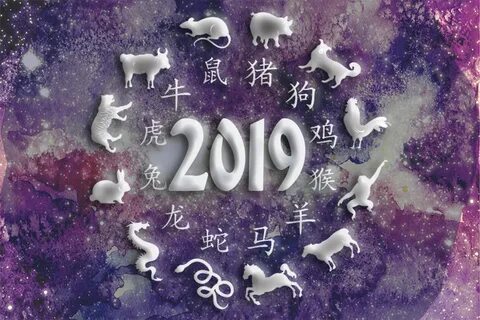 2022 год это год кого
