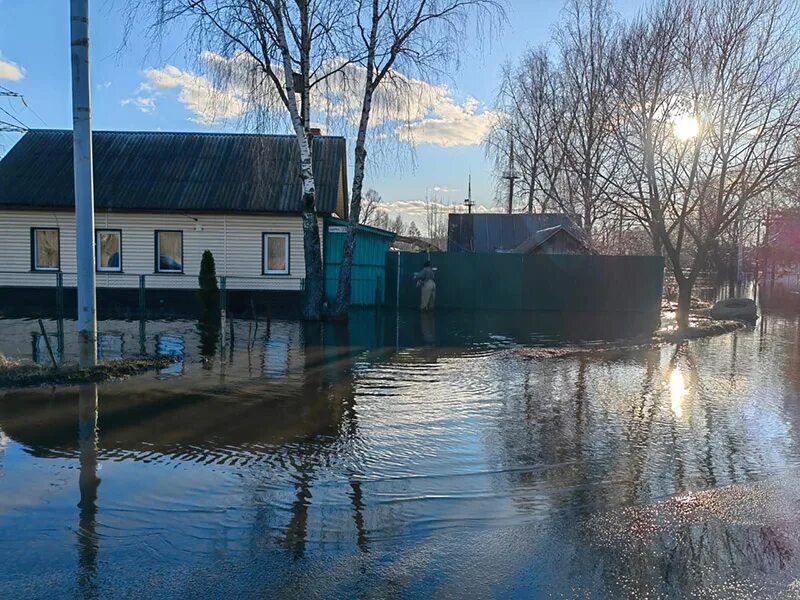 Весеннее половодье. Отражение в воде живопись. Половодьи. Река мочаловка свердловская область. Половодье в петровске.