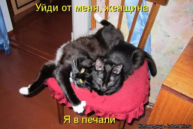 отстань. отстань от меня со своими ролевыми играми. отстаньте о. надпись отстань. отстаньте от меня!.