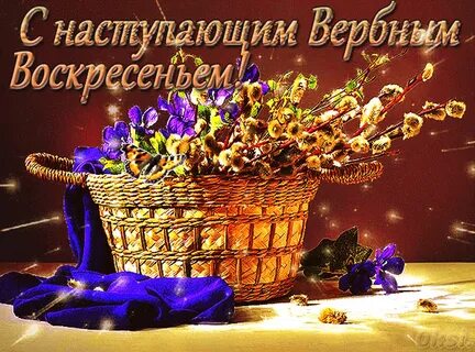 Живые картинки воскресенье