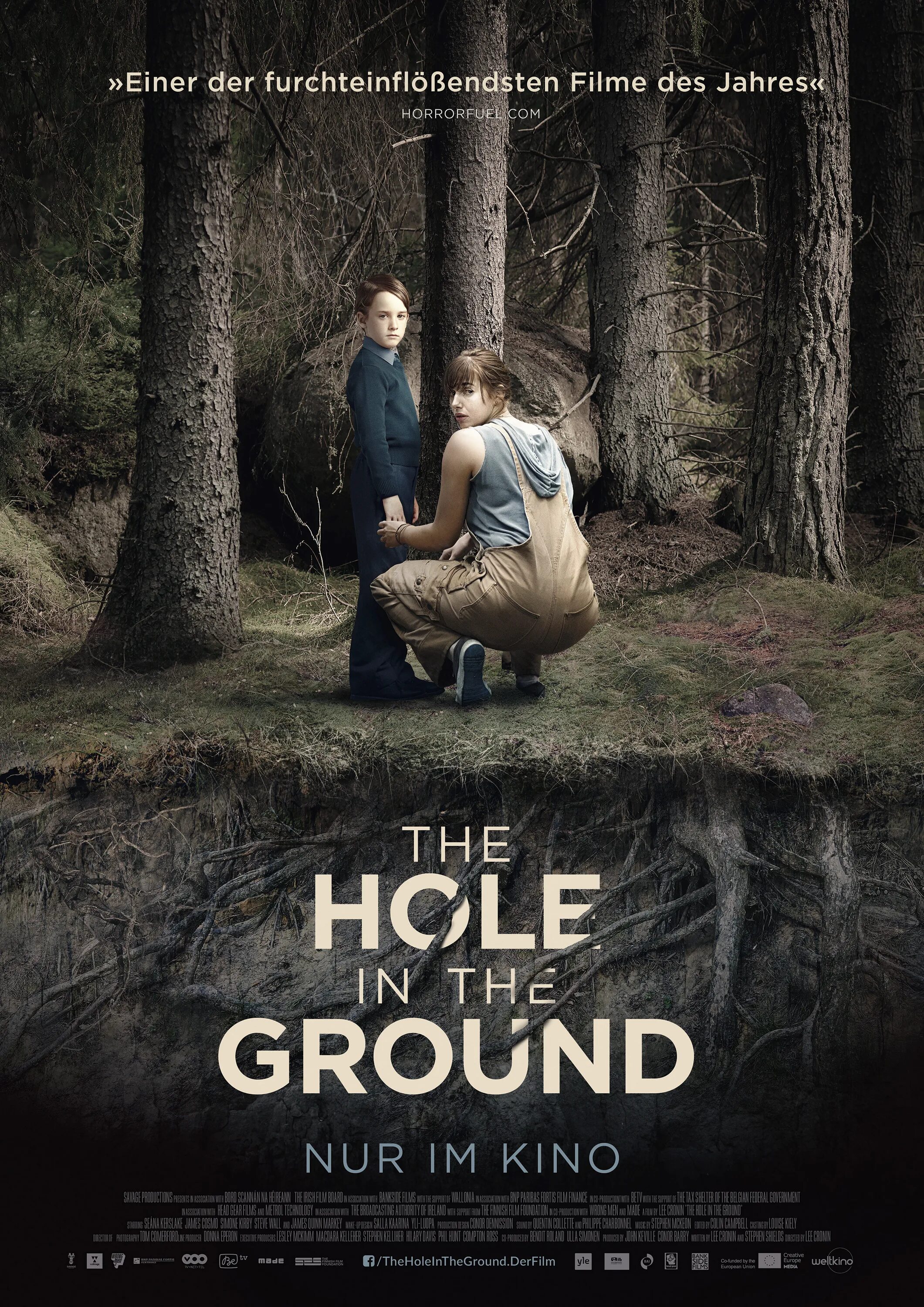 2 другой 2018 г. Другой / the hole in the ground (2018). Другие Постер.