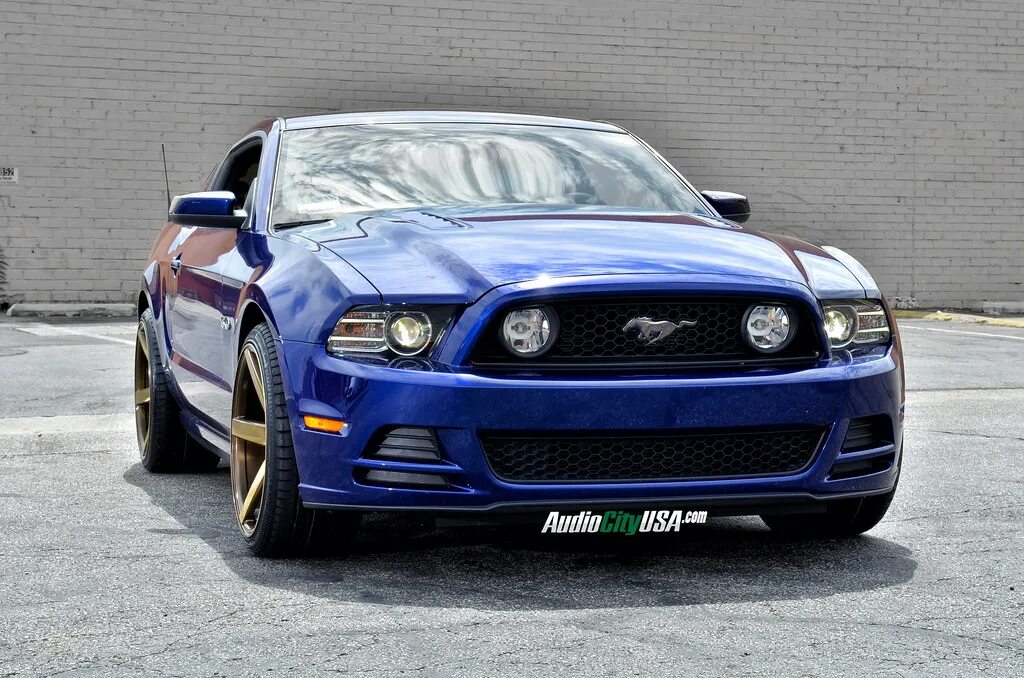 Дополнительный свет на форд мустанг 5. Форд мустанг 5 литров. Ford mustang gt500 5 поколение. Форд мустанг v8. Форд мустанг gt 5.