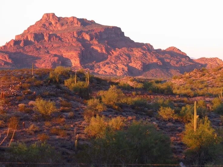 Red mesa