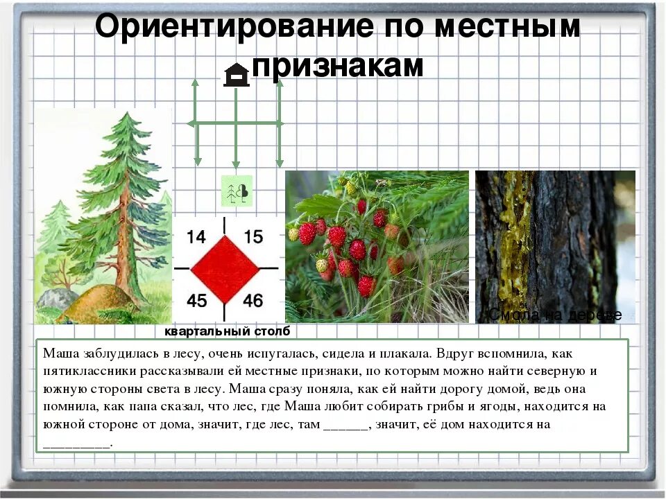 Природные признаки сторон горизонта рисунки 2 класс