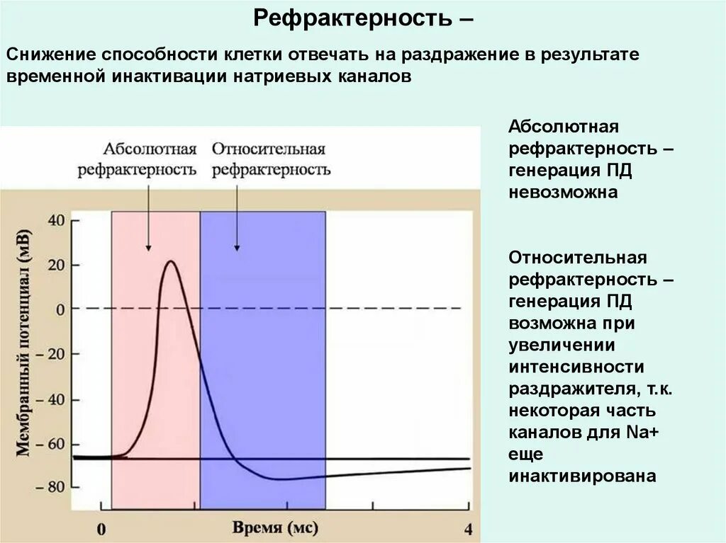 В результате раздражения