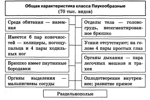 Сравнительная характеристика классов типа членистоногие