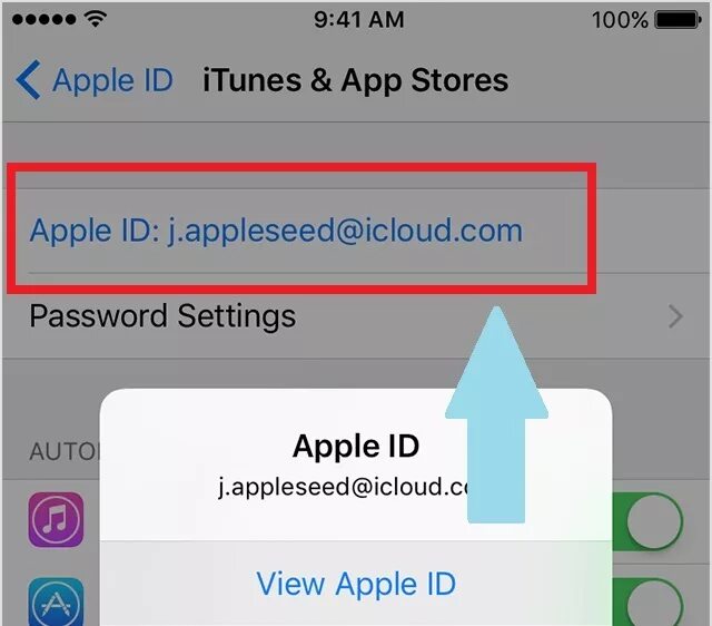 Apple ID пример. Apple ID образец. Пароль для Apple ID примеры. Пароль для app Store. Номер ап стор