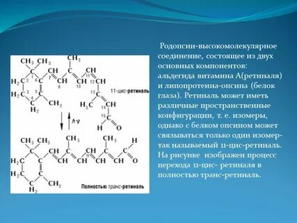 Основном состоит из двух