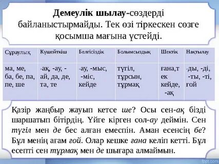 Өлімге әкелетін қатты порно фильмдер