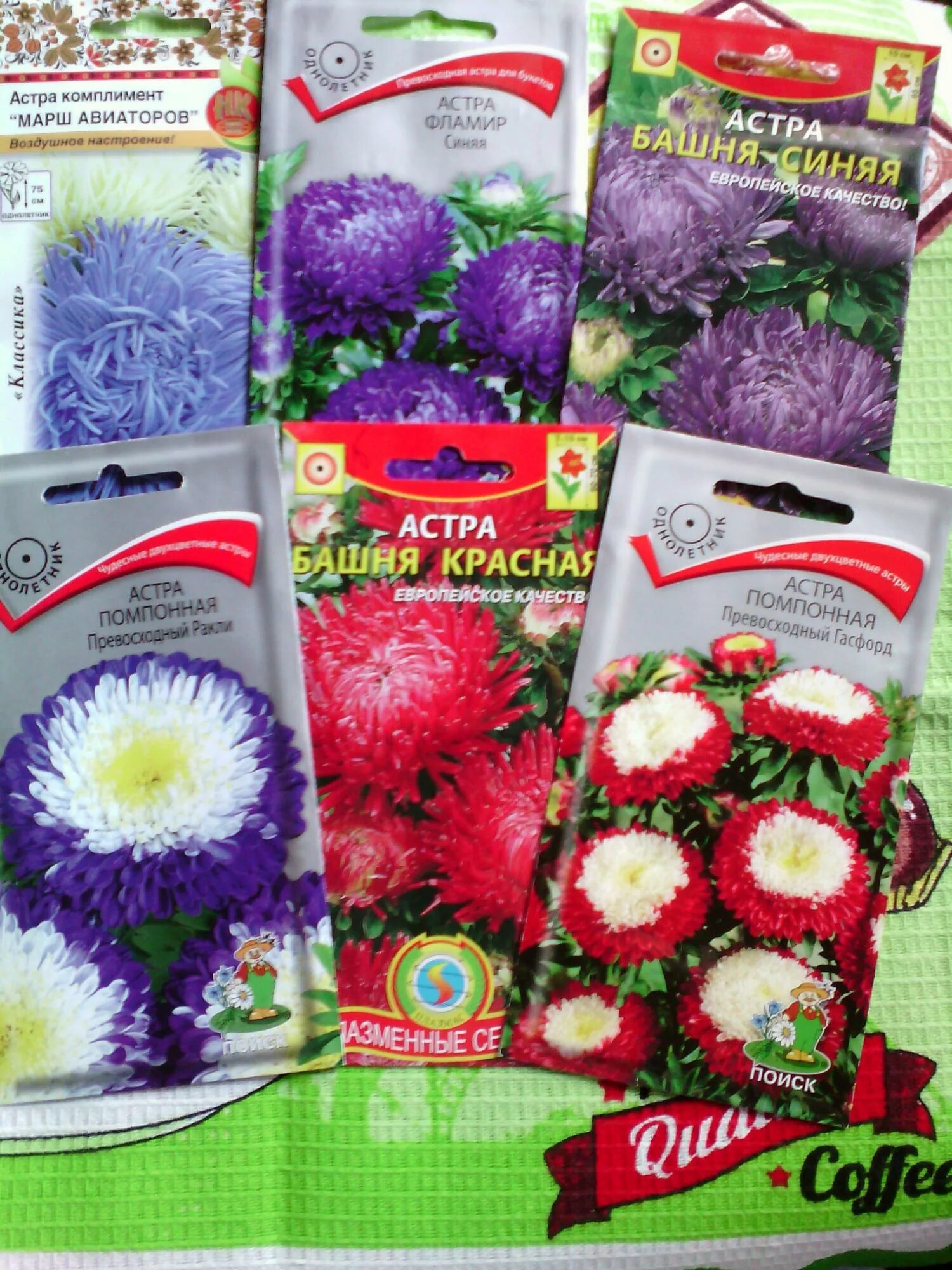 цветы авиаторов. с праздником авиации. астра синяя авиатор семена. день авиации. цветы авиаторов.