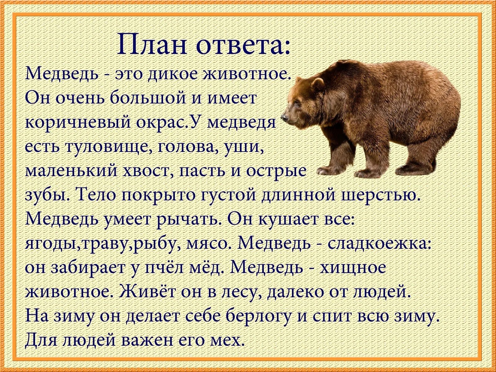 Сделать описание животного