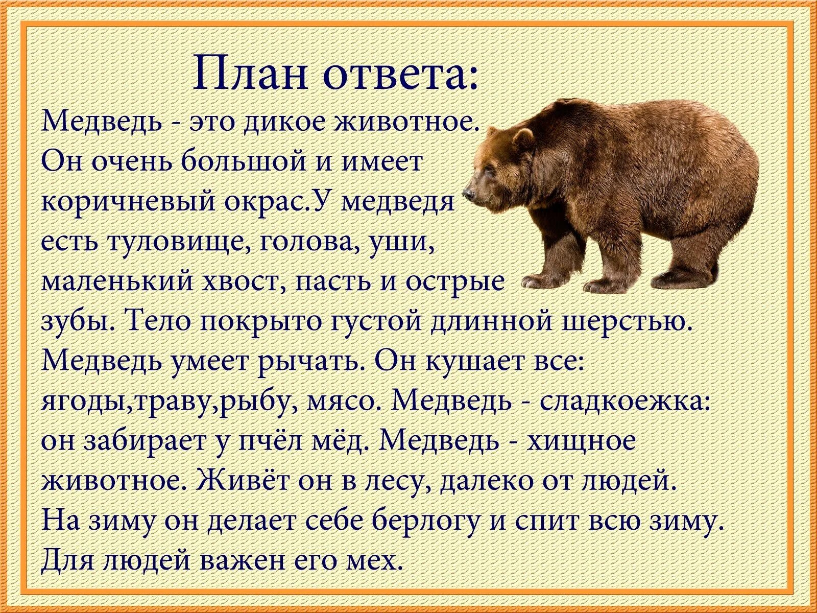 Описать дикого животного. Описание животных. Рассказ о медведе. Рассказ о диких животных. Рассказ о животном.