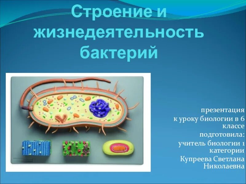 Жизнедеятельность бактерий 5 класс биология. Жизнедеятельность бактерий клетки 5 класс биология. Особенности строения клеток бактерий 5 класс. Особенности строения и жизнедеятельности бактериальной клетки. Биологии бактерии 9