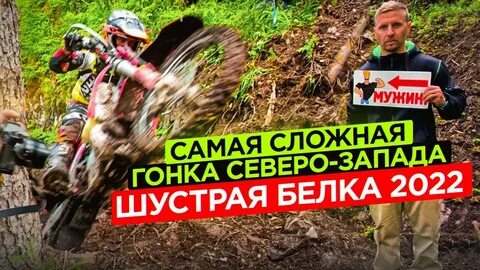 Шустрая белка