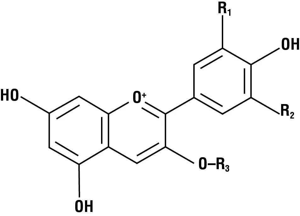 Синтез антоцианов. Антоциан формула химическая. Антоцианы формула структурная. Антоцианидин формула структурная. Общая формула антоцианов.