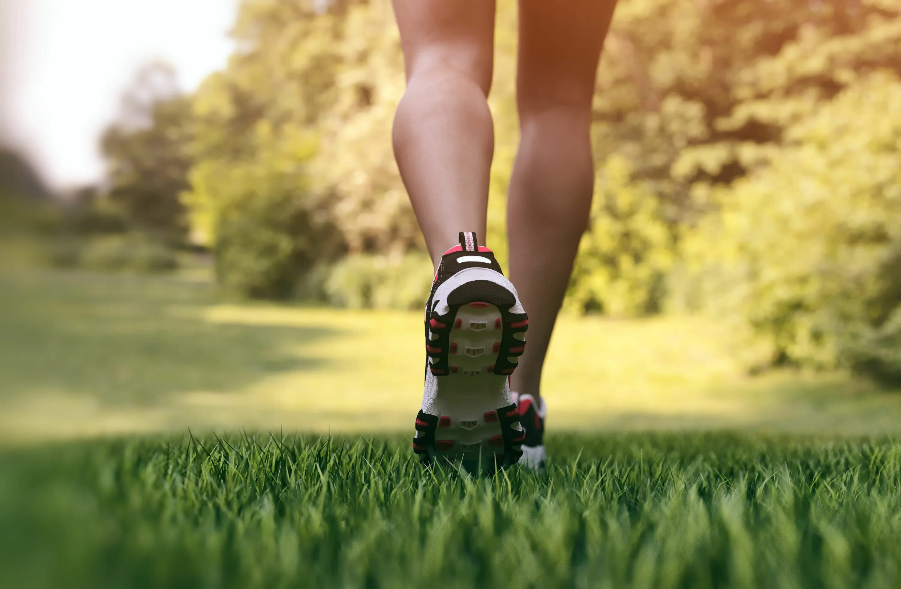 Did i run it. Low impact cardio. аксессуары для бега. run in place для ребенка. lazy walk.