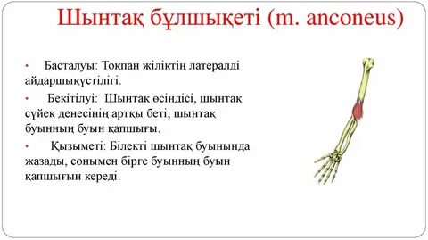 Уретральды вагинальды фистула