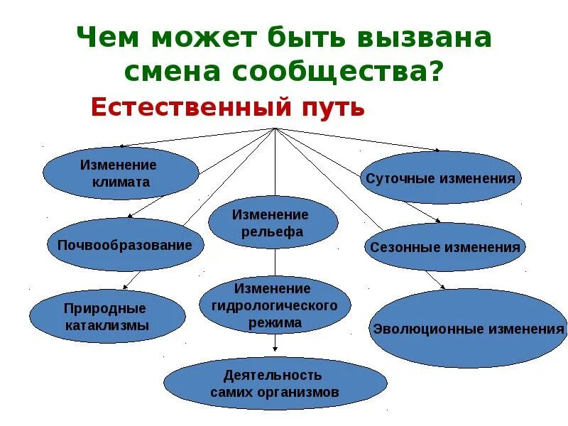 Что является примером естественной смены. Чем может быть вызвана смена сообщества. чем может быть вызвана смена сообщества биология. чем может быть вызвана смена растительных сообществ. причины смены сообществ естественный путь.