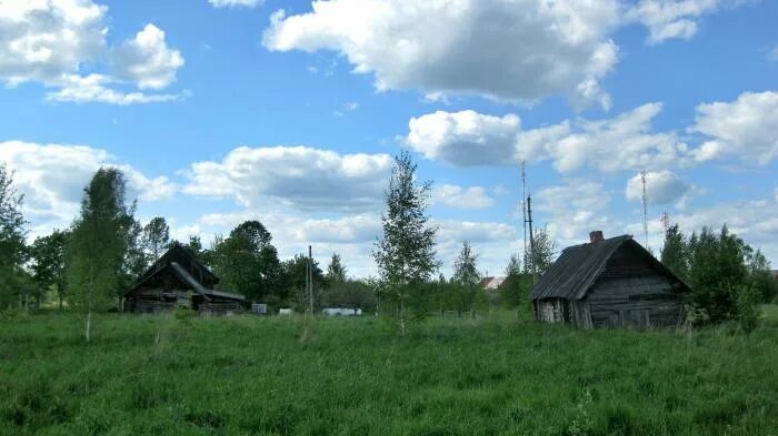 Гобжицы лужский район. Печково лужский ленинградская область. Ильжо лужский район. Деревня донце. Деревня донце.