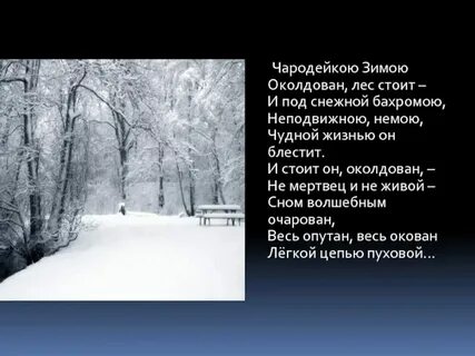Стоять молча вид
