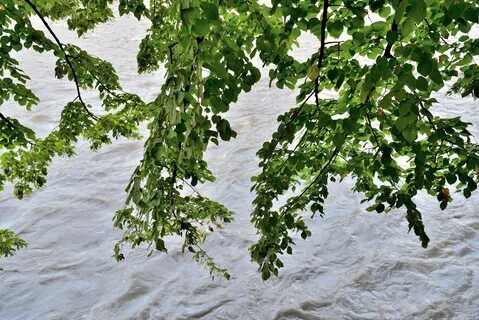 Милф фото xxx