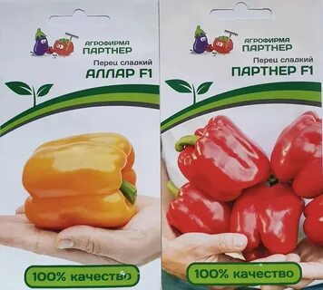Арчи перец отзывы