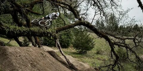 Mount raw