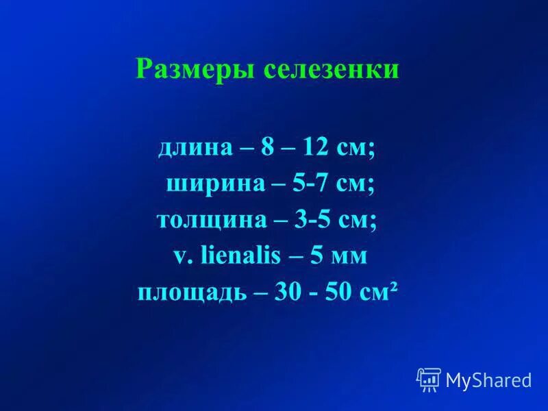 патологии селезенки узи норма. размеры селезенки на узи. 6 селезенка. гемангиосаркома селезенки узи. объем селезенки в норме.
