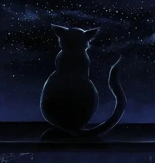 Кот ночью ходит