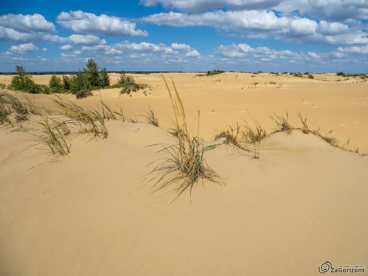 Пустыни полупустыни азии. Арчедино-донские пески волгоградская область. Пустыни и полупустыни южной америки. Пустыня саванна в африке. Равнина гоби.