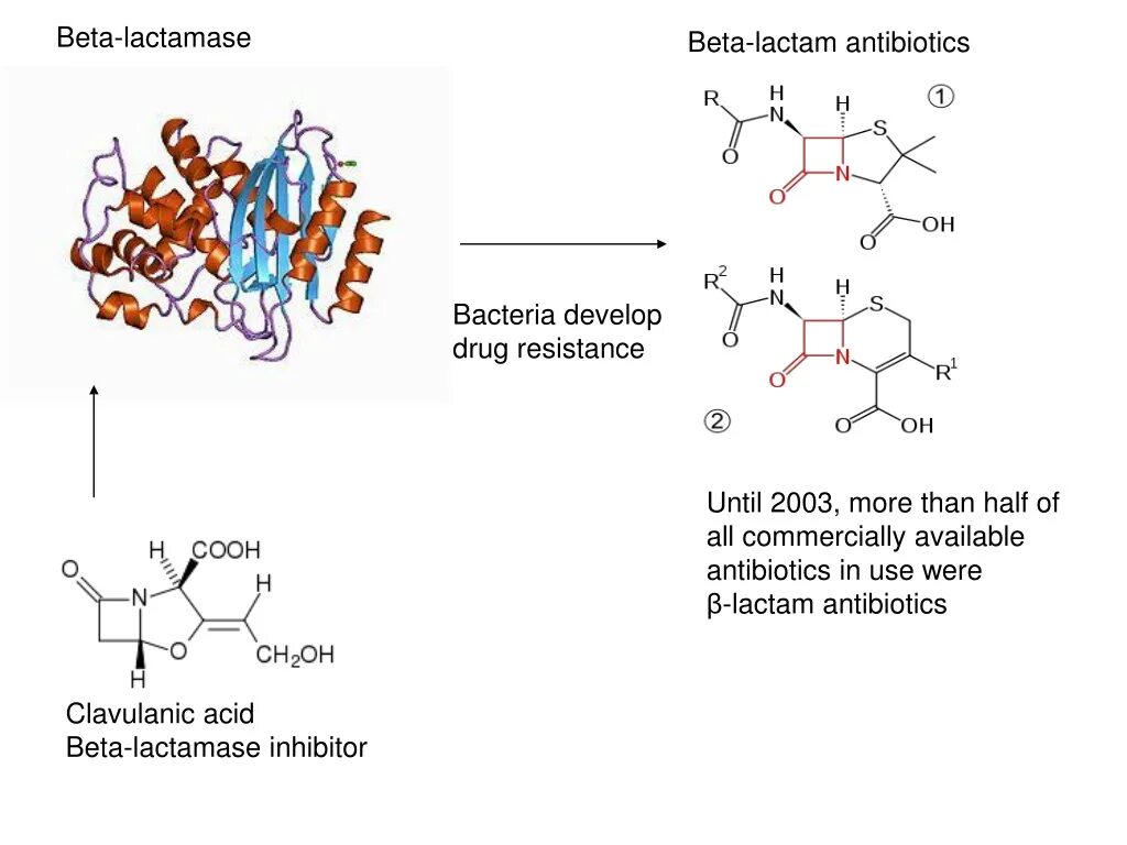Beta sobaegjag i dallajyeossda. Β-lactam antibiotics. beta lactam antibiotics. beta lactamase. β-lactam antibiotics mechanism of action.