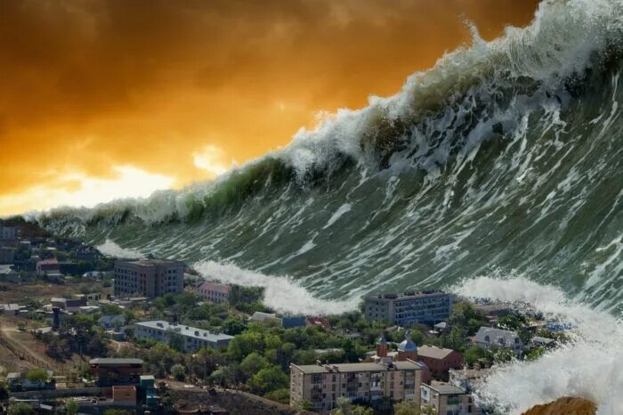 Sink or Swim (2019)