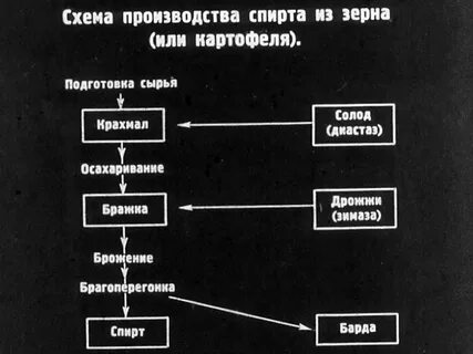 Технологическая схема спирта