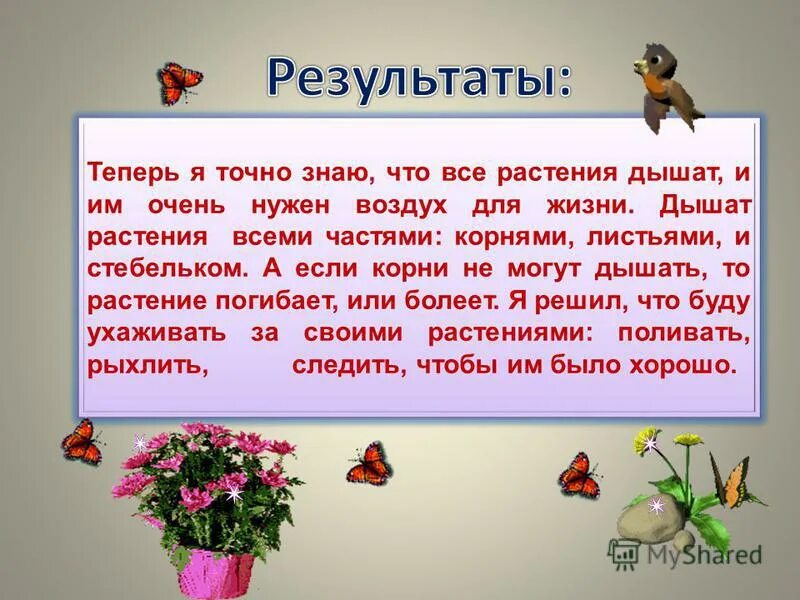 Дышат ли плоды растений. Эксперимент дышит ли растение для детей. Дашут ли растения корнями. Детям о растениях чем они дышат. Умеют ли растения дышать?.