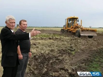Погода в ромашкино оренбургская область