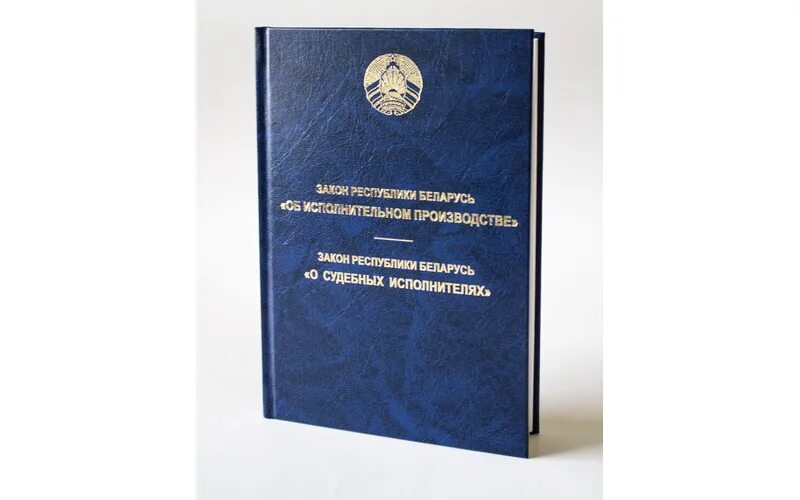 Предмет исполнительного производства. Процесс исполнительного производства. Исполнительное производство в республике беларусь. Исполнительное производство в республике беларусь. Издание законов.