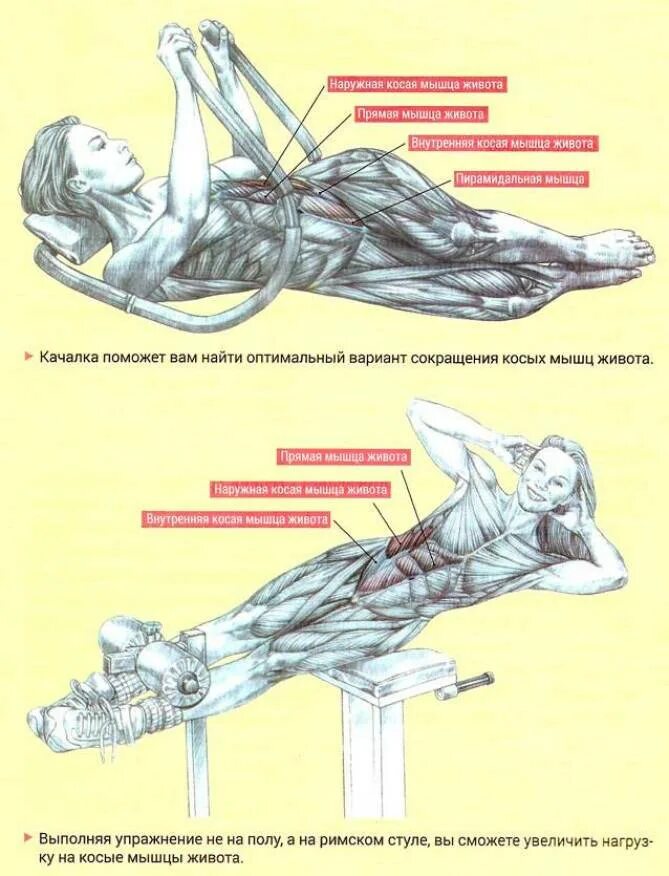 Поперечная мышца живота как накачать. Боковые скручивания для косых мышц. Наружная косая мышца живота упражнения. Упражнения для пресса и боковых мышц живота. Пресс косые мышцы упражнения.