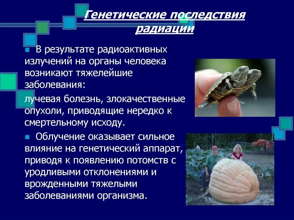 Последствия облучения на организм. Последствие излучения. Последствия радиационного излучения. Последствия воздействия излучения. Последствия радиационных аварий на людей соматические ранние.