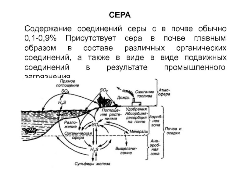 Подвижная сера в почве. Движение серы в почве. Определение серы в почве. Поступление азота в почву схема. Таблица градация содержания микроэлементов в почве.