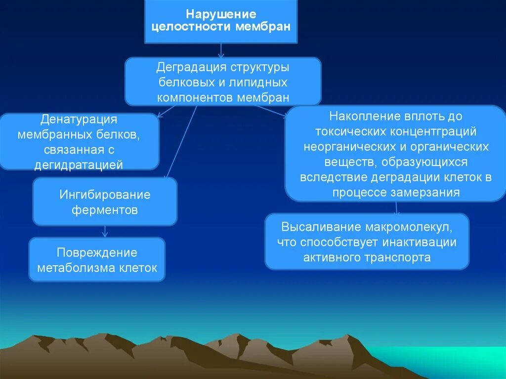Деградация структуры
