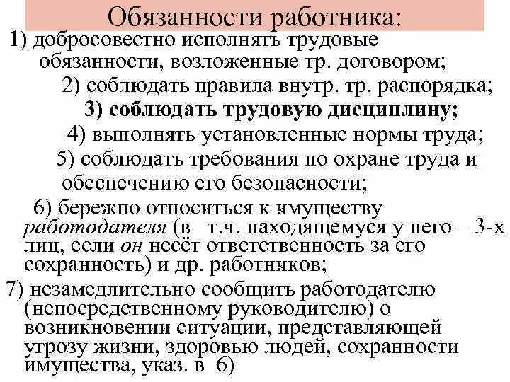 Исполнял следующие обязанности. Обязанности работника по трудовому договору. Обязанности работника добросовестно исполнять. Трудовые функции сотрудника. Обязательства трудового договора.