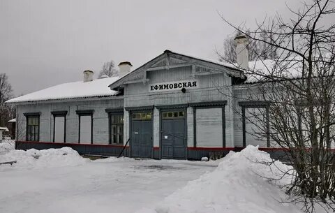 Ефимовский бокситогорский ленинградская область