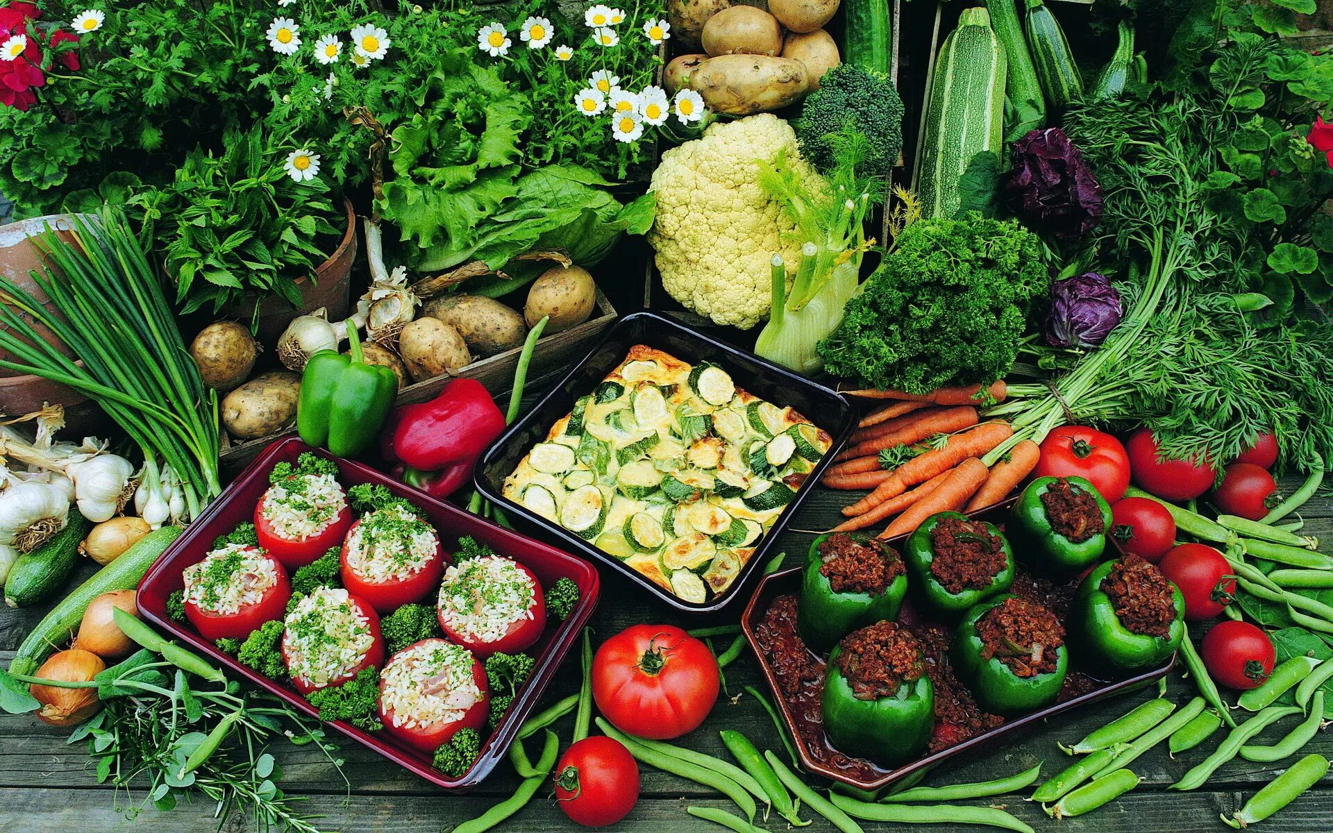 Vegetable run