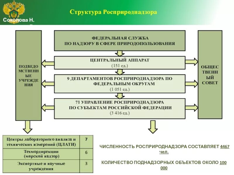 Структура Росприроднадзора. Федеральная служба по надзору в сфере природопользования структура. Структура центрального аппарата Росприроднадзора. Организация управления структура Росприроднадзор. Государственный экологический надзор рф