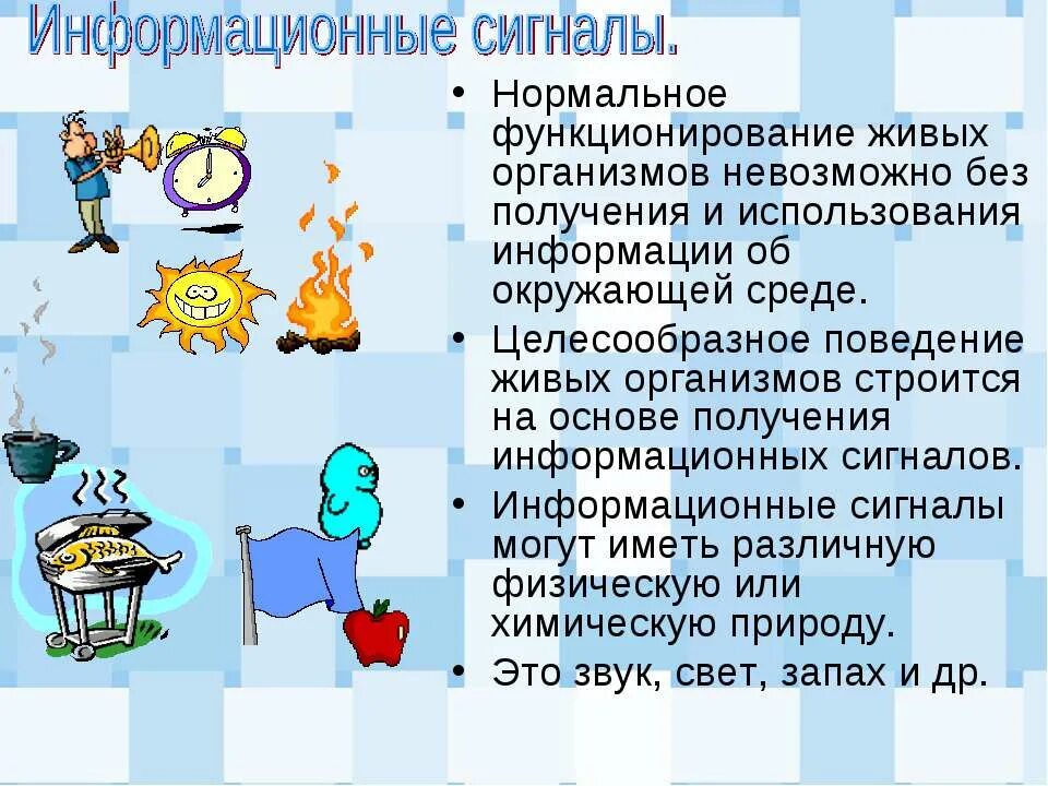 Информационные сигналы в информатике. Аналоговые информационные сигналы. Информационные сигналы примеры. Параметры сигнала в радиотехнике. Информационные сигналы примеры.