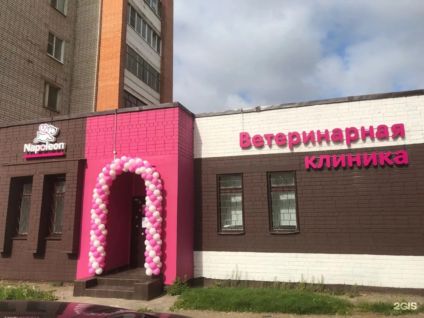 Ленинградский проспект 66 ярославль. Государственная ветклиника на ярославском шоссе. Добрый доктор ветклиника. Круглосуточные ветеринарные ярославль. Магистр вет ярославль.